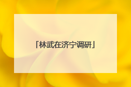 林武在济宁调研