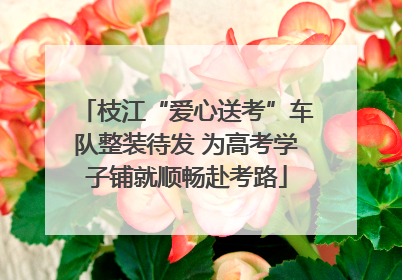枝江“爱心送考”车队整装待发 为高考学子铺就顺畅赴考路