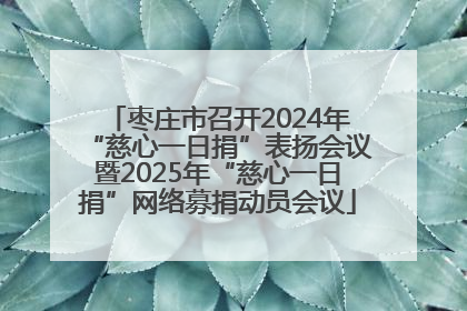 枣庄市召开2024年“慈心一日捐”表扬会议暨2025年“慈心一日捐”网络募捐动员会议