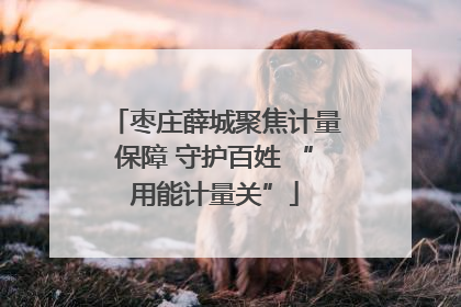 枣庄薛城聚焦计量保障 守护百姓 “用能计量关”