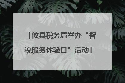 攸县税务局举办“智税服务体验日”活动