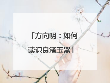 方向明：如何读识良渚玉器