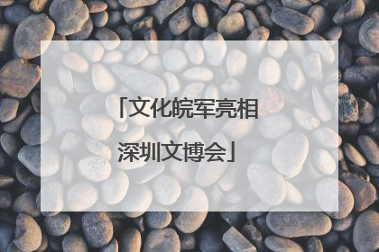 文化皖军亮相深圳文博会