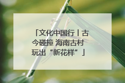 文化中国行丨古今碰撞 海南古村玩出“新花样”