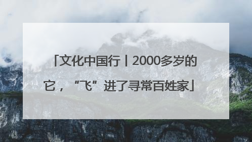 文化中国行丨2000多岁的它，“飞”进了寻常百姓家