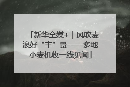 新华全媒+｜风吹麦浪好“丰”景——多地小麦机收一线见闻
