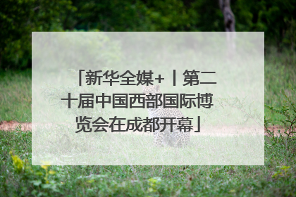 新华全媒+丨第二十届中国西部国际博览会在成都开幕