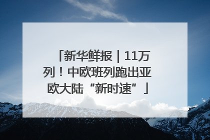 新华鲜报｜11万列！中欧班列跑出亚欧大陆“新时速”