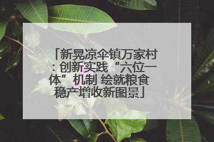 新晃凉伞镇万家村：创新实践“六位一体”机制 绘就粮食稳产增收新图景