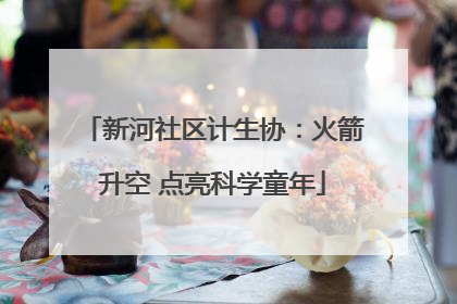 新河社区计生协：火箭升空 点亮科学童年