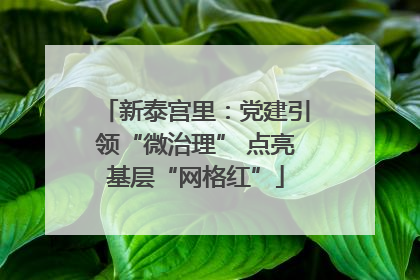 新泰宫里：党建引领“微治理” 点亮基层“网格红”
