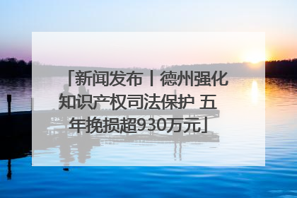 新闻发布丨德州强化知识产权司法保护 五年挽损超930万元