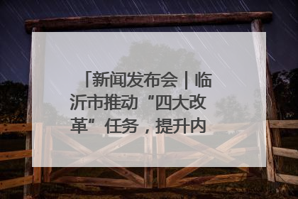 新闻发布会｜临沂市推动“四大改革”任务，提升内部审计监督效能