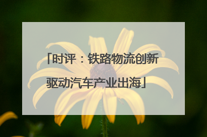 时评：铁路物流创新驱动汽车产业出海