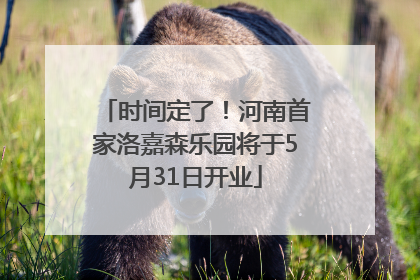 时间定了！河南首家洛嘉森乐园将于5月31日开业