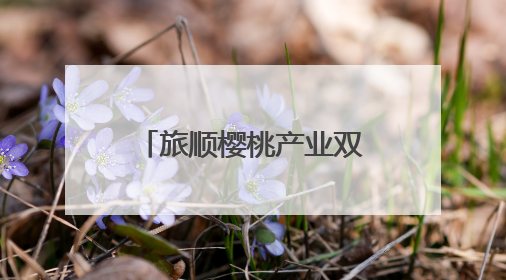 旅顺樱桃产业双轮驱动：套袋技术与精品路线助力产业提质增效