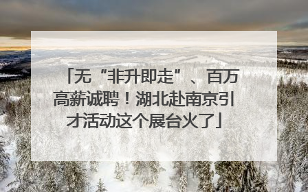 无“非升即走”、百万高薪诚聘！湖北赴南京引才活动这个展台火了