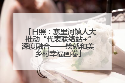 日照：寨里河镇人大推动“代表联络站+”深度融合——绘就和美乡村幸福画卷