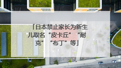 日本禁止家长为新生儿取名“皮卡丘”“耐克”“布丁”等