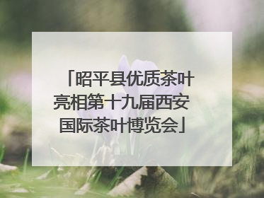 昭平县优质茶叶亮相第十九届西安国际茶叶博览会