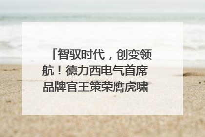 智驭时代，创变领航！德力西电气首席品牌官王策荣膺虎啸奖年度品牌人物