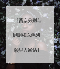 普京分别与伊朗和以色列领导人通话