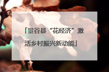 景谷县“花经济”激活乡村振兴新动能
