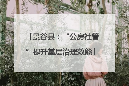 景谷县：“公房社管”提升基层治理效能