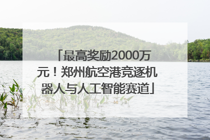 最高奖励2000万元！郑州航空港竞逐机器人与人工智能赛道