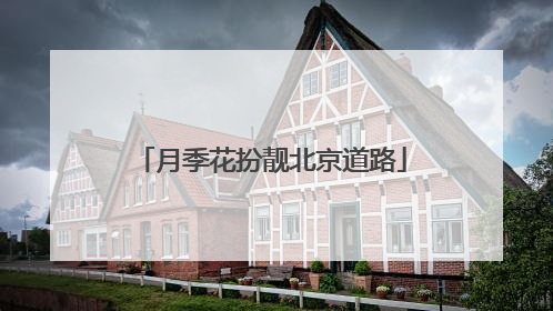 月季花扮靓北京道路