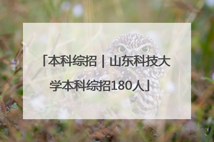 本科综招｜山东科技大学本科综招180人