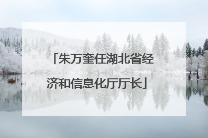 朱万奎任湖北省经济和信息化厅厅长