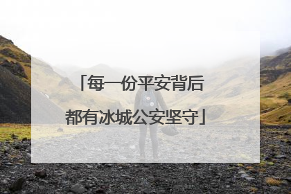 每一份平安背后 都有冰城公安坚守