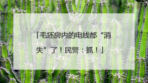 毛坯房内的电线都“消失”了！民警：抓！