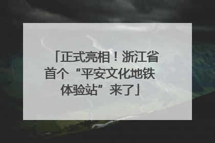 正式亮相！浙江省首个“平安文化地铁体验站”来了