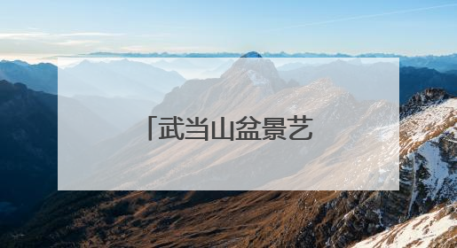 武当山盆景艺术文化展开展