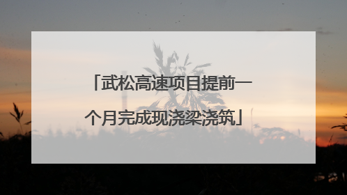 武松高速项目提前一个月完成现浇梁浇筑