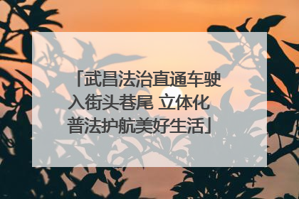 武昌法治直通车驶入街头巷尾 立体化普法护航美好生活