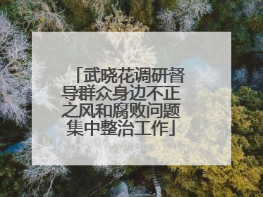 武晓花调研督导群众身边不正之风和腐败问题集中整治工作