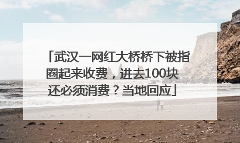 武汉一网红大桥桥下被指圈起来收费，进去100块还必须消费？当地回应