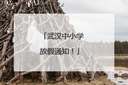 武汉中小学放假通知！