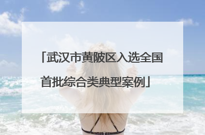 武汉市黄陂区入选全国首批综合类典型案例