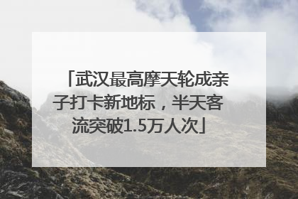 武汉最高摩天轮成亲子打卡新地标，半天客流突破1.5万人次