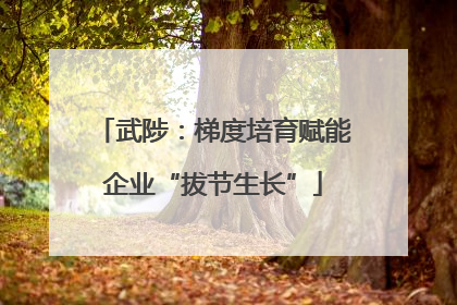武陟：梯度培育赋能企业“拔节生长”
