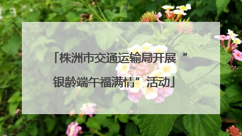 株洲市交通运输局开展“银龄端午福满情”活动