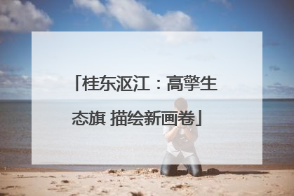 桂东沤江：高擎生态旗 描绘新画卷