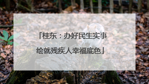 桂东：办好民生实事 绘就残疾人幸福底色