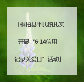 桐柏县平氏镇扎实开展“6·14信用记录关爱日”活动