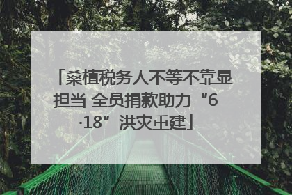 桑植税务人不等不靠显担当 全员捐款助力“6·18”洪灾重建