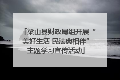 梁山县财政局组开展“美好生活 民法典相伴”主题学习宣传活动